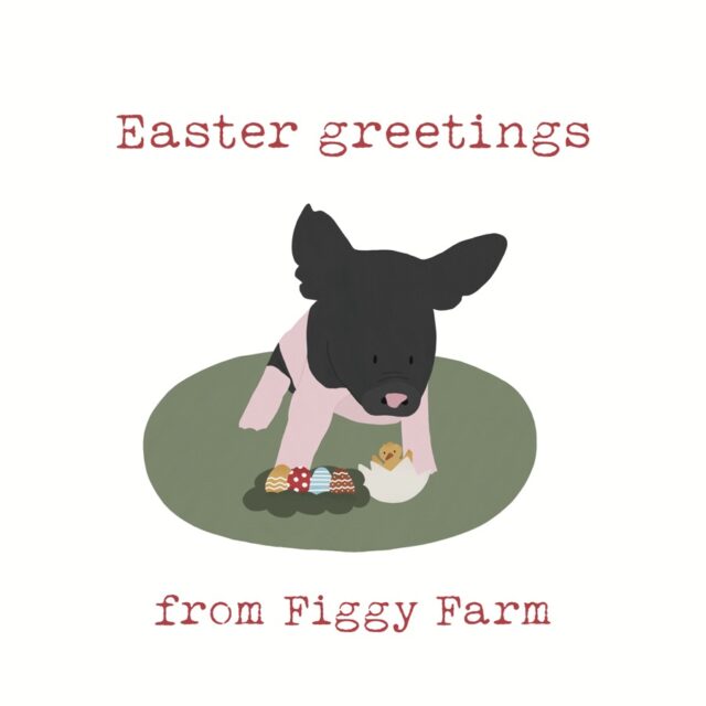 Happy Easter from Baby Gus and @figgyfarmanimalsanctuary 💐🐣
.
.
.
.
.
#pigsanctuary #figgyfarmanimalsanctuary #animalsanctuarylife #happyeaster #eatfigsnotpigs