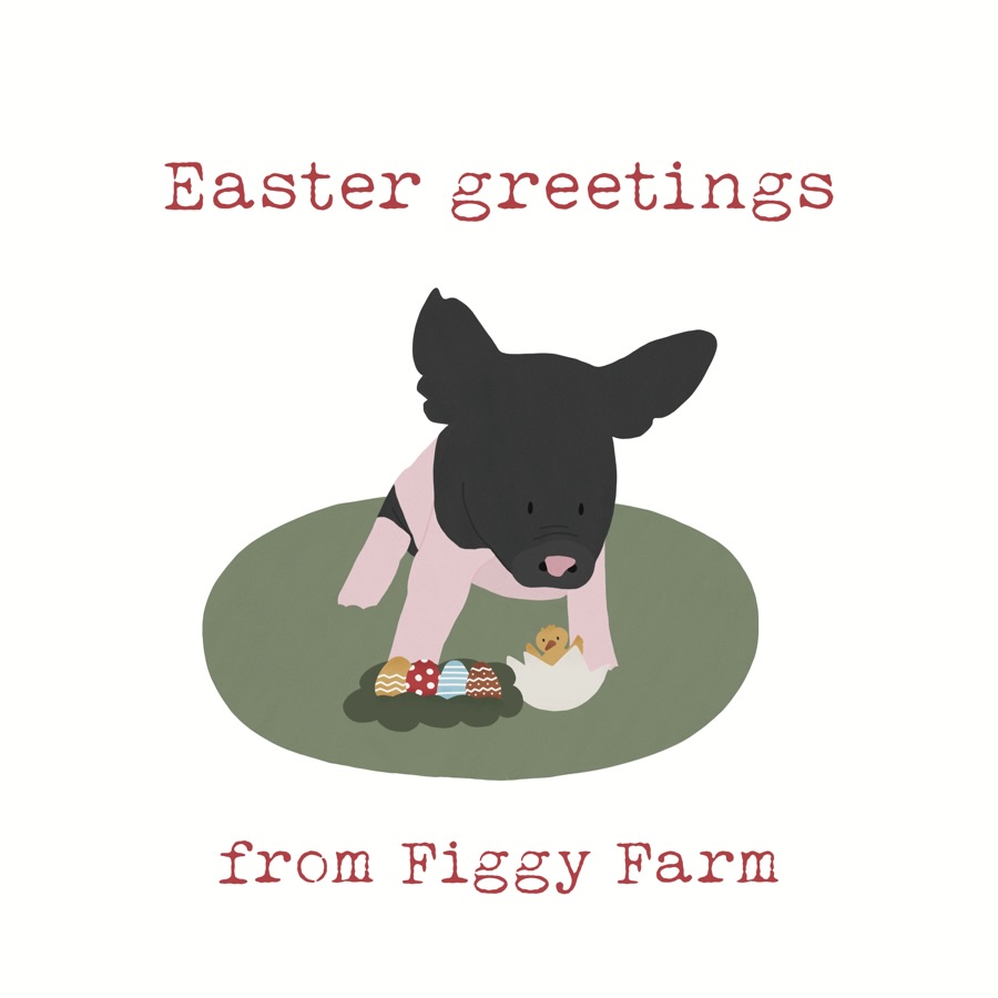 Happy Easter from Baby Gus and @figgyfarmanimalsanctuary 💐🐣
.
.
.
.
.
#pigsanctuary #figgyfarmanimalsanctuary #animalsanctuarylife #happyeaster #eatfigsnotpigs